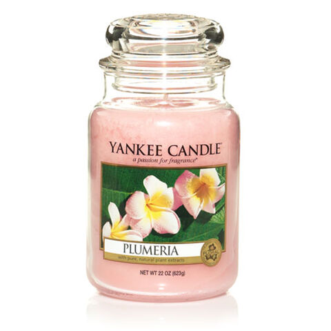 File:Plumeria.jpg