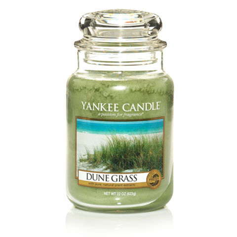 File:DuneGrass.jpg