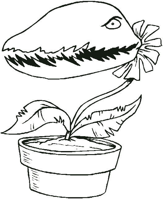 image venus fly trap coloring pagegif yaraels secret diary wiki fandom powered by wikia