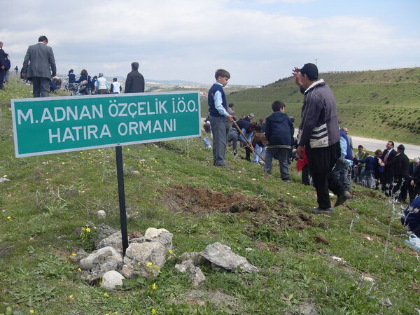 SDC10776.jpg
