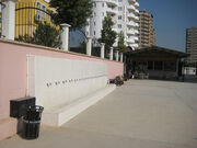 IMG 1781.jpg