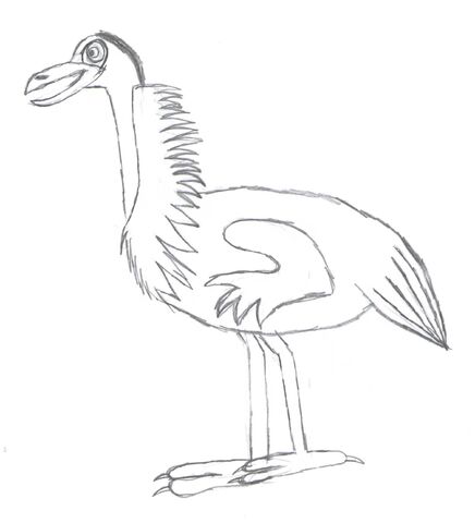 File:Emu.jpg