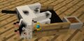 Thumbnail for version as of 00:01, October 27, 2013