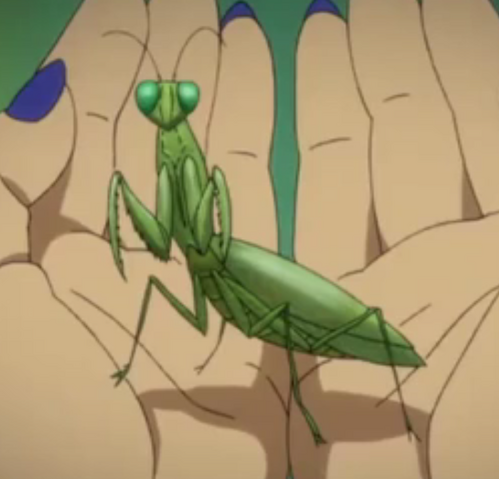File:Seiya Animal.png