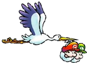 Stork2