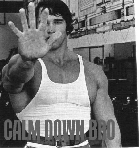 File:Calm Down Bro.jpg