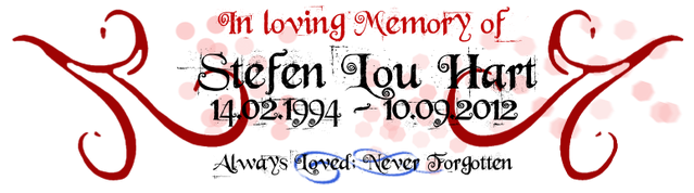 File:Stefanmemory.png