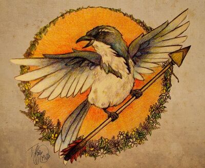 Mockingjay-the-hunger-games-31803600-900-738
