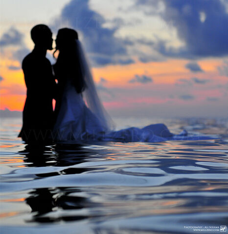 File:Endless love.jpg