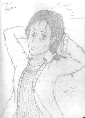 Haymich drawing