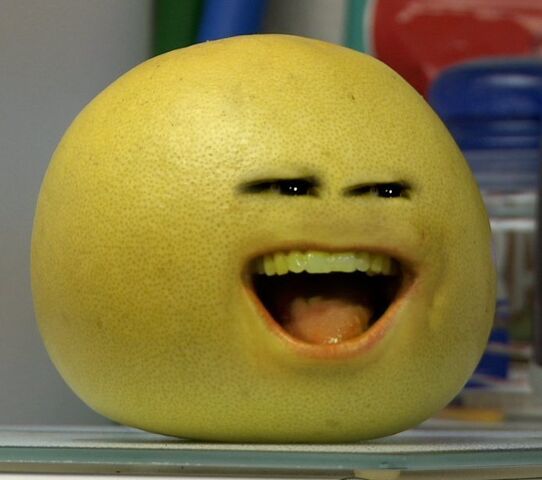 File:Grapefruit0.jpg