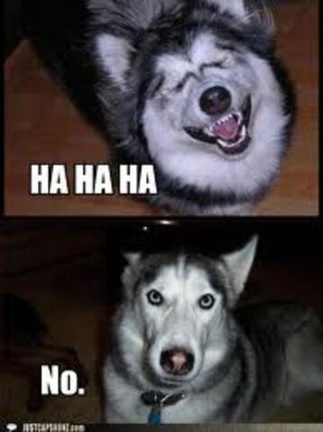 File:Hahaha-No-Meme-01.jpg