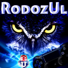 Logo-rodozul200x200.jpg