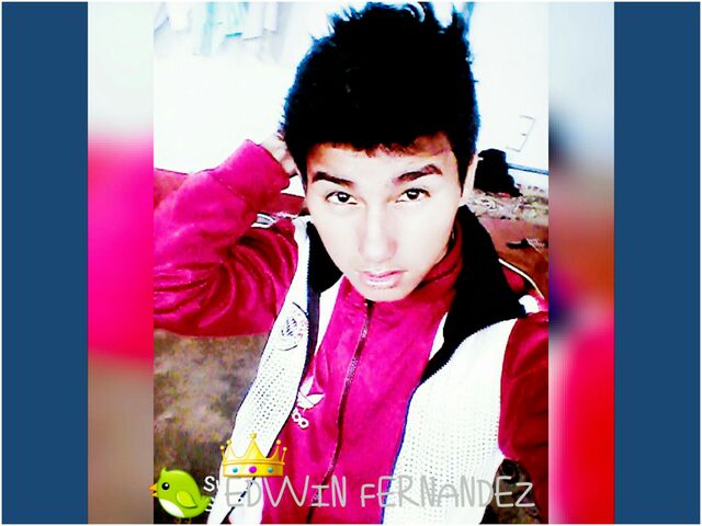 Archivo:1494010604642.jpg