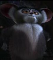 Maurice 01.jpg rgb