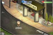 Furniture Store
