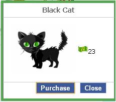 File:Black cat.JPG