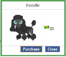 File:Poodle.JPG