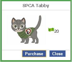 File:Spca tabby.JPG