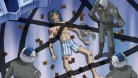Shiraambush