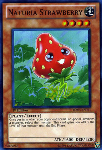 File:NaturiaStrawberry-HA04-EN-SR-1E.jpg