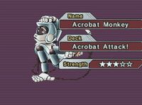 AcrobatMonkey-GX03