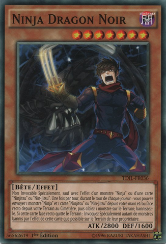 File:BlackDragonNinja-TDIL-FR-C-1E.png