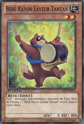 File:BabyRaccoonTantan-SHSP-FR-C-1E.png