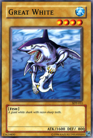 File:GreatWhite-SDY-NA-C-UE.png