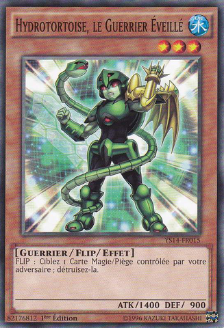 File:HydrotortoisetheEmpoweredWarrior-YS14-FR-C-1E.png