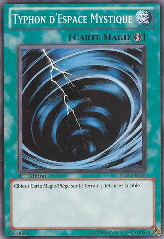 File:MysticalSpaceTyphoon-YS11-FR-C-1E.png