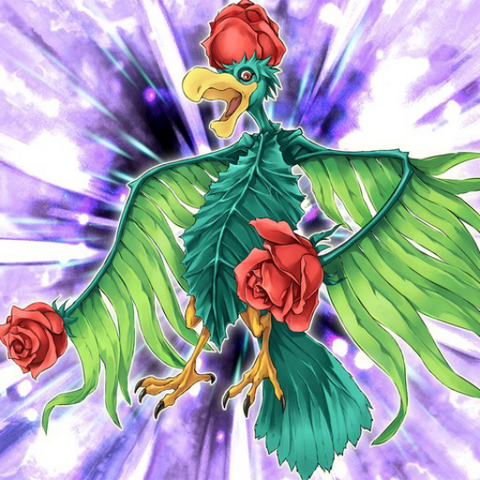 File:BirdofRoses-TF05-JP-VG.png
