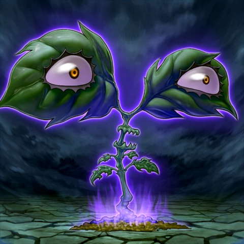 File:DarkVerger-TF04-JP-VG.png
