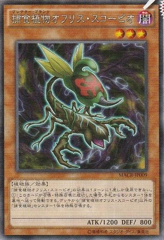 File:PredaplantOphrysScorpio-MACR-JP-OP.png
