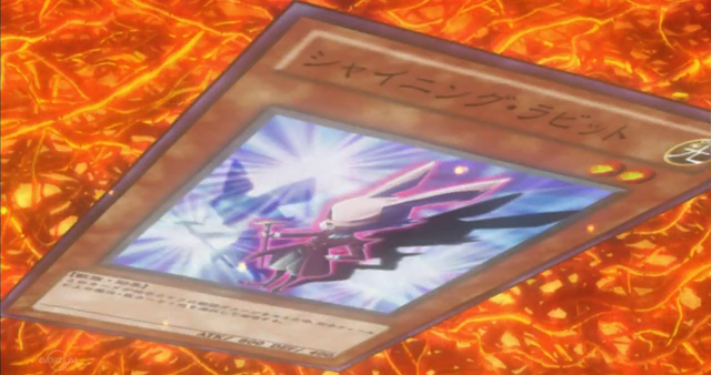 File:ShiningRabbit-JP-Anime-ZX.png