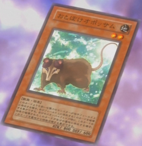 File:PlayfulPossum-JP-Anime-5D.png