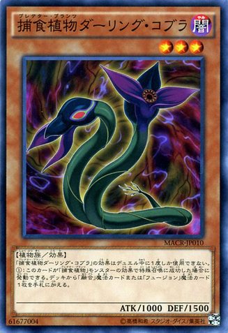 File:PredaplantDarlingtoniaCobra-MACR-JP-C.png
