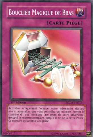 File:MagicalArmShield-SDZW-FR-C-1E.png