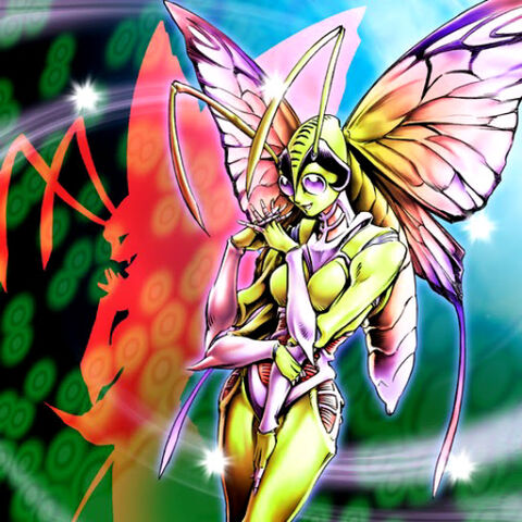 File:InsectPrincess-TF04-JP-VG.jpg