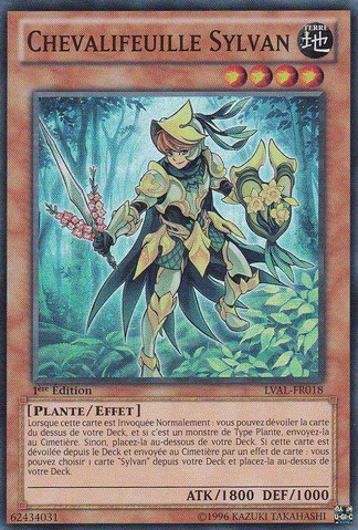 File:SylvanFlowerknight-LVAL-FR-SR-1E.png
