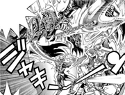 D-034 Chain Boomerang