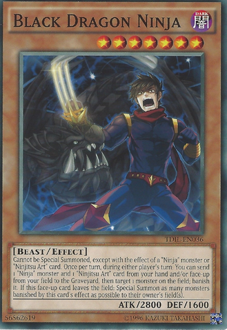 File:BlackDragonNinja-TDIL-EN-C-UE.png