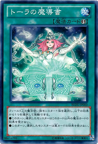 File:SpellbookofWisdom-REDU-JP-C.png