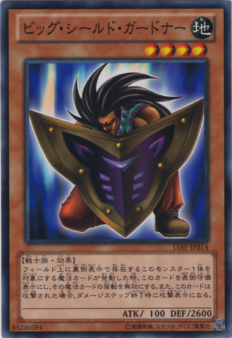 File:BigShieldGardna-15AY-JP-C.png