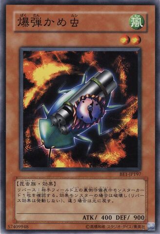 File:BombardmentBeetle-BE1-JP-C.jpg