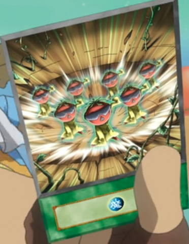 File:ToughTomato-EN-Anime-ZX.png