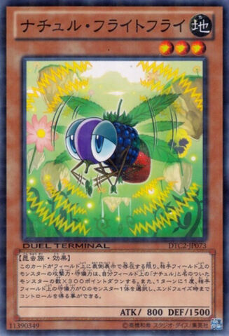 File:NaturiaFruitfly-DTC2-JP-DNPR-DT.jpg
