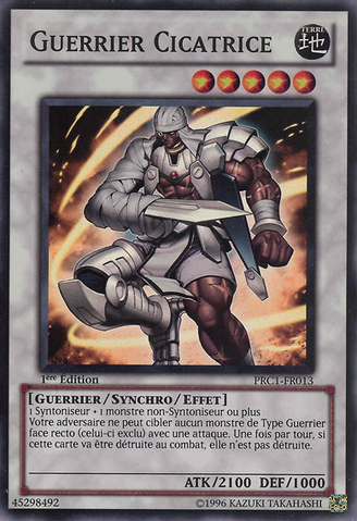 File:ScarredWarrior-PRC1-FR-SR-1E.png