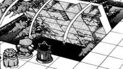 YGO-052 Forest flips