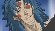 Shiraface